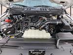 2023 Ford F-150 SuperCrew Cab 4WD Pickup for sale #PKD92606W - photo 30