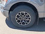 2023 Ford F-150 SuperCrew Cab 4WD Pickup for sale #PKF81759W - photo 10
