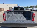 2024 Ford F-350 Crew Cab SRW 4WD Pickup for sale #REC25243W - photo 29