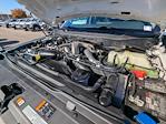 2024 Ford F-350 Crew Cab SRW 4WD Pickup for sale #REC34397W - photo 29