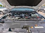 2024 Ford F-450 Crew Cab DRW 4WD Pickup for sale #REE67993W - photo 32