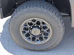 2024 Chevrolet Silverado 2500 Crew Cab 4WD Pickup for sale #RF226187T - photo 10