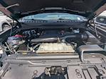 2024 Ford F-150 SuperCrew Cab 4WD Pickup for sale #RFA44560 - photo 31