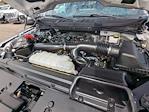 2024 Ford F-150 SuperCrew Cab 4WD Pickup for sale #RFB62478W - photo 31