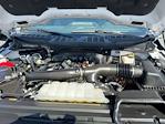 2024 Ford F-150 SuperCrew Cab 4WD Pickup for sale #RFB62478W - photo 33