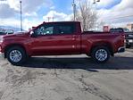 2024 Chevrolet Silverado 1500 Crew Cab 4WD Pickup for sale #RG171620T - photo 5