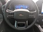 2024 Ford F-150 SuperCrew Cab 4WD Pickup for sale #RKD59442P - photo 15