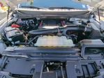 2025 Ford F-150 SuperCrew Cab 4WD Pickup for sale #SFA15249T - photo 29