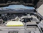 2025 Ford F-150 Regular Cab 4WD Pickup for sale #SKD25648T - photo 27