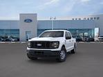 2025 Ford F-150 SuperCrew Cab 4WD Pickup for sale #SKD31144 - photo 3
