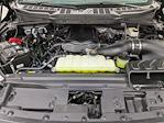 2025 Ford F-150 Regular Cab 4WD Pickup for sale #SKF20954 - photo 24