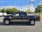 2025 Ford F-150 SuperCrew Cab 4WD Pickup for sale #7455 - photo 12