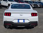 2026 Ford Mustang Fastback RWD Coupe for sale #7699 - photo 10