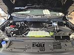 2026 Ford F-150 Regular Cab 4WD Pickup for sale #7953 - photo 15