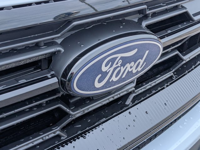 New 2026 Ford Expedition - photo 7