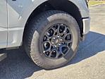 2026 Ford F-150 SuperCrew Cab 4WD Pickup for sale #8564 - photo 12