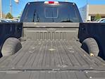 2023 Ford F-450 Crew Cab DRW 4WD Pickup for sale #P1863 - photo 12
