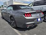 2024 Ford Mustang Convertible RWD Convertible for sale #P1973 - photo 1