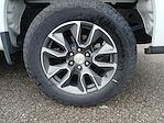 2024 Chevrolet Silverado 1500 Double Cab 4x4 Pickup for sale #5M435P - photo 9