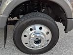 2025 Ford F-450 Crew Cab DRW 4x4 Pickup for sale #PF12813 - photo 18