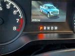 2023 Ford F-150 SuperCrew Cab 4x4 Pickup for sale #REE84780D - photo 24