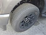 2025 Ford F-250 Crew Cab 4x4 Pickup for sale #SEC73872 - photo 14