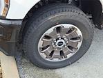 2025 Ford F-250 Crew Cab 4x4 Pickup for sale #SEC96897 - photo 7