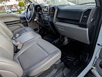 2020 Ford F-150 Regular Cab 4x2 Pickup for sale #SED26372B - photo 12