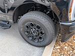 2025 Ford F-250 Crew Cab 4x4 Pickup for sale #SED47213 - photo 4