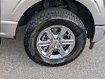 2024 Ford F-150 SuperCrew Cab 4x4 Pickup for sale #SED47213A - photo 16