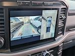 2024 Ford F-150 SuperCrew Cab 4x4 Pickup for sale #SED47213A - photo 19