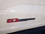 2024 Ford F-250 Crew Cab 4WD Pickup for sale #SEE00514A - photo 7