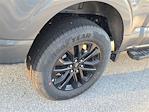 2025 Ford F-150 SuperCrew Cab 4x2 Pickup for sale #SFA30362 - photo 4