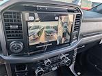 New 2025 Ford F-150 XLT SuperCrew Cab 4WD Pickup for sale #SFA44389 - photo 15