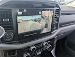 New 2025 Ford F-150 XLT SuperCrew Cab 4WD Pickup for sale #SFA69022 - photo 16