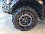 2025 Ford F-150 SuperCrew Cab 4x4 Pickup for sale #SFB01286 - photo 6