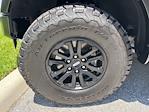 2025 Ford F-150 SuperCrew Cab 4x4 Pickup for sale #SFB58853 - photo 11