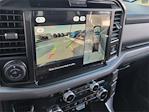 New 2025 Ford F-150 XLT SuperCrew Cab 4WD Pickup for sale #SFB61913 - photo 14