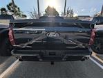 New 2025 Ford F-150 XLT SuperCrew Cab 4x4 Pickup for sale #SFB63567 - photo 13