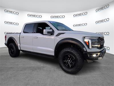 2024 Ford F-150 SuperCrew Cab 4WD Pickup for sale #SFB70621A - photo 1