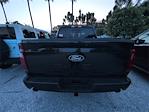 New 2025 Ford F-150 XLT SuperCrew Cab 4x4 Pickup for sale #SFB85295 - photo 9