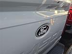 2025 Ford F-150 SuperCrew Cab 4x2 Pickup for sale #SKD10048 - photo 10