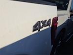 2025 Ford F-150 SuperCrew Cab 4x4 Pickup for sale #SKD61358 - photo 14