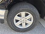 2025 Ford F-150 Regular Cab 4x4 Pickup for sale #SKD70493 - photo 6