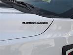 New 2025 Ford F-150 XL Regular Cab 4WD Pickup for sale #SKE59574 - photo 7