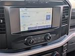 2022 Ford F-150 Regular Cab RWD Pickup for sale #SKE66346A - photo 15