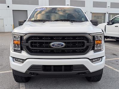 2023 Ford F-150 SuperCrew Cab 4WD Pickup for sale #SKE79535A - photo 2
