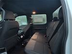 New 2025 Ford F-150 STX SuperCrew Cab 4x4 Pickup for sale #SKF20837 - photo 11