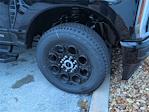 2026 Ford F-250 Crew Cab 4WD Pickup for sale #TEC09253 - photo 4