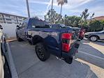 New 2026 Ford F-250 Platinum Crew Cab for sale #TED32571 - photo 2